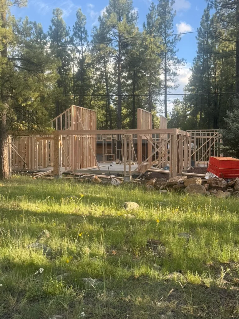 Framing among the pines