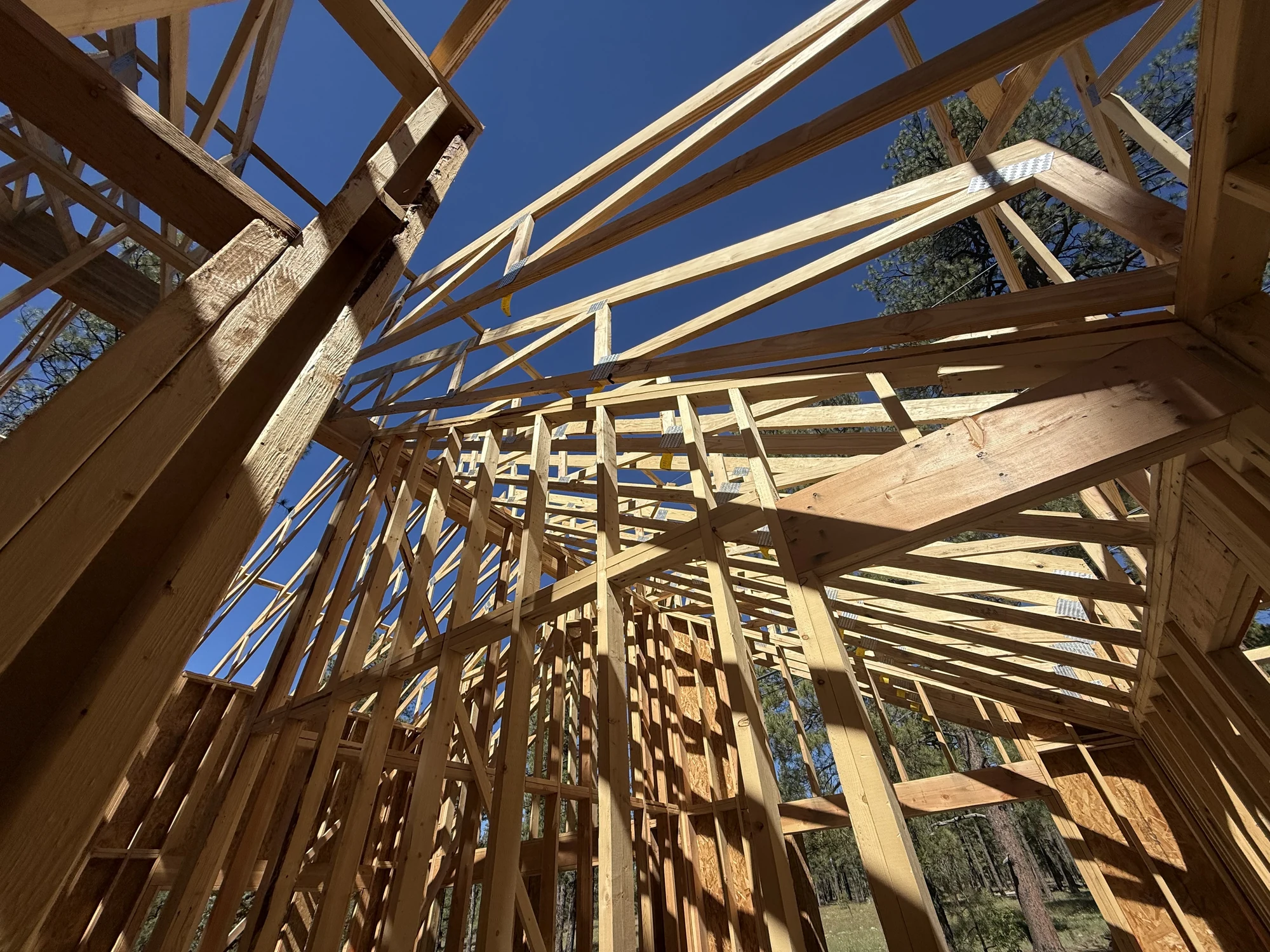 Roof trusses and wall framing beneath blue sky at the Munds Park cottage