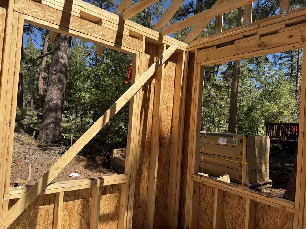 Pine trees seen through two framed window openings at the Munds Park cottage